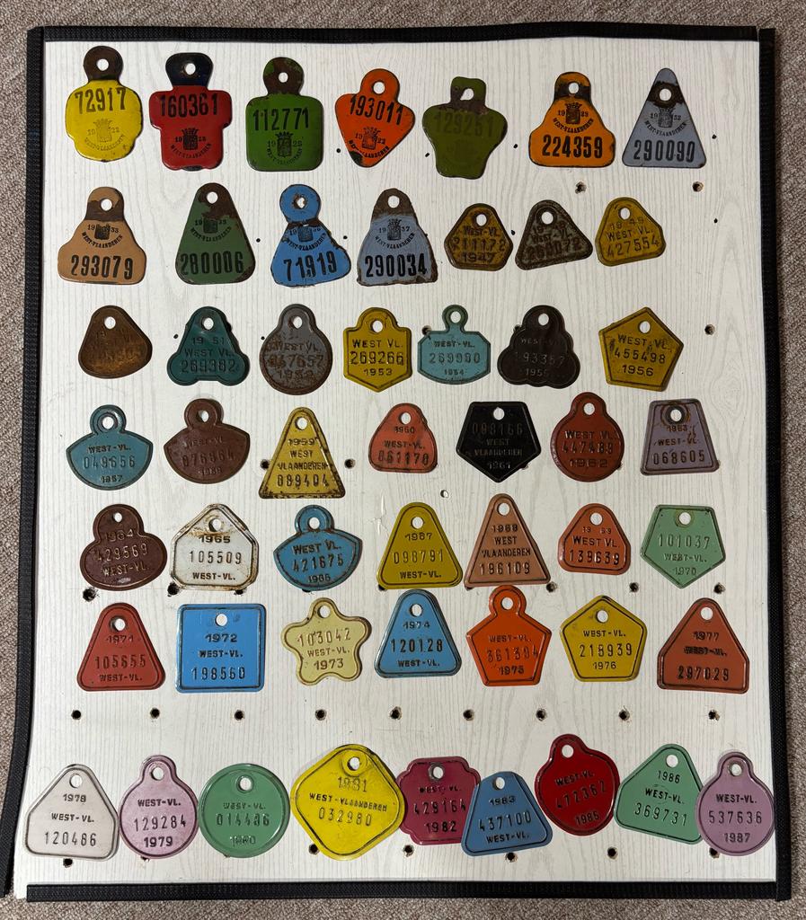 +-50 Fietsplaten West Vlaanderen plaque velo nummerplaat, Antiquités & Art, Enlèvement