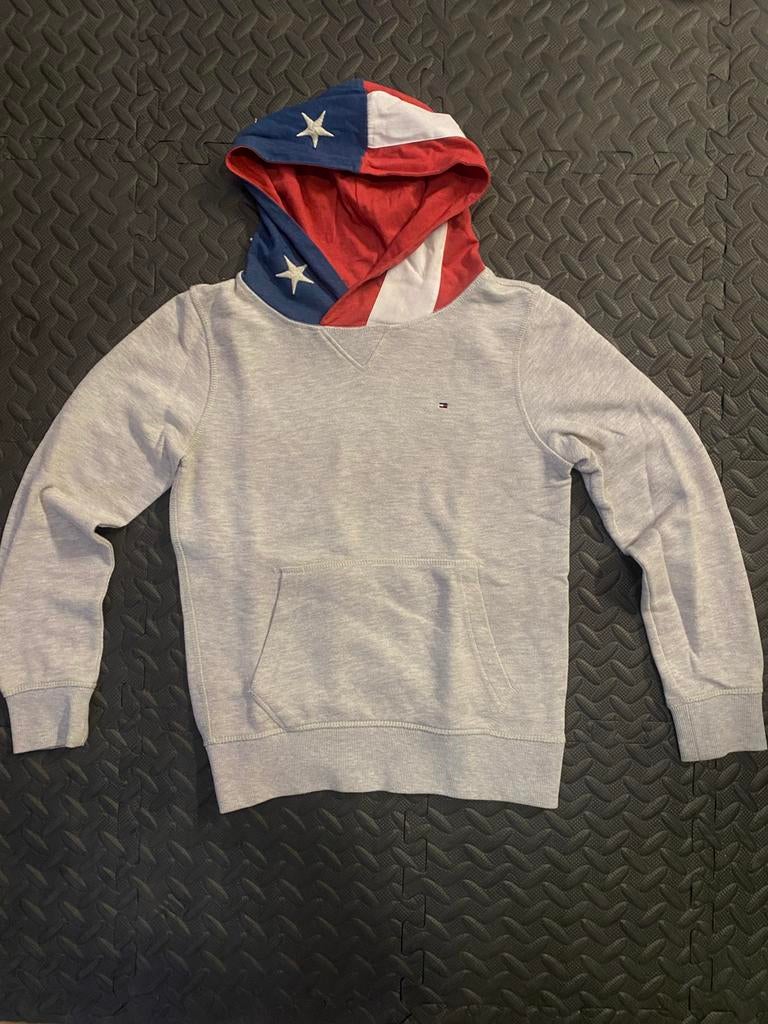 Pull Tommy Hilfiger, Neuf, Garçon, Enlèvement ou Envoi, Pull ou Veste
