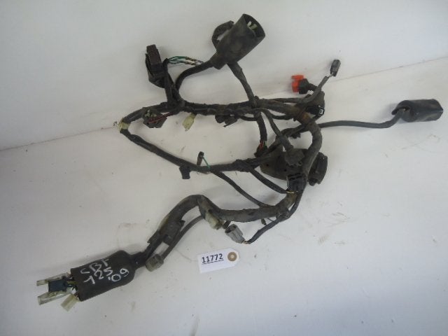 CBF125 2009 - 2012 Honda Kabelboom Kabelboom hoofd D1-16732