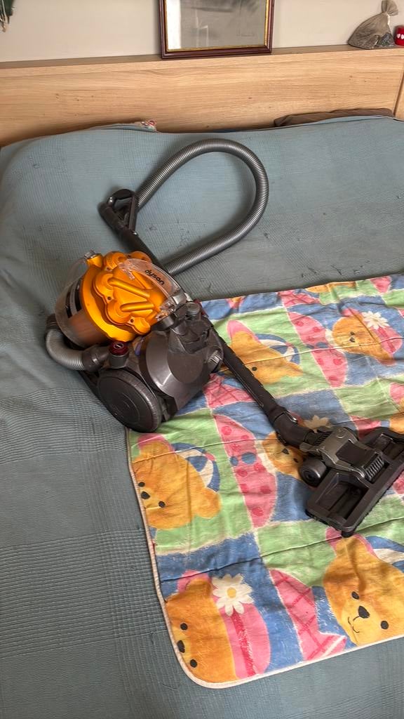 Dyson DC29, Electroménager, Enlèvement ou Envoi, Utilisé, Aspirateur