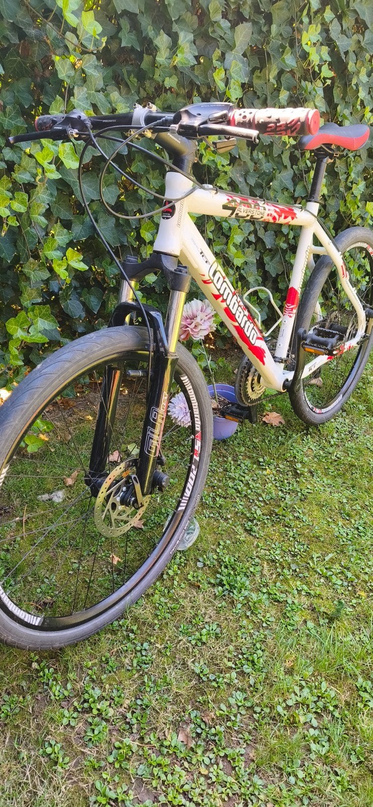 Vélo Lombardo TCF – Freins à disque & Shimano (Très bon état, Vélos & Vélomoteurs, Autres marques, 45 à 49 cm, Enlèvement, Hommes