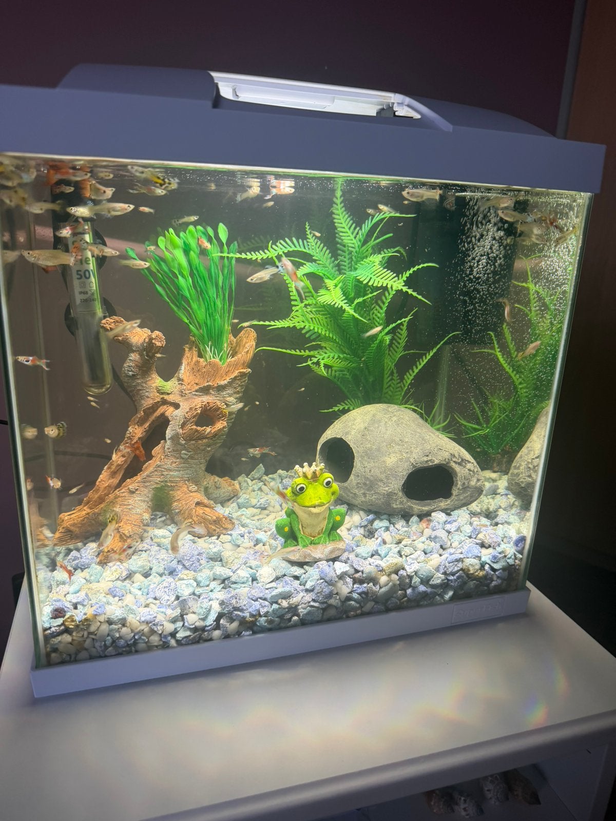 Aquarium startfish 30 compleet, Ophalen, Zo goed als nieuw, Filter
