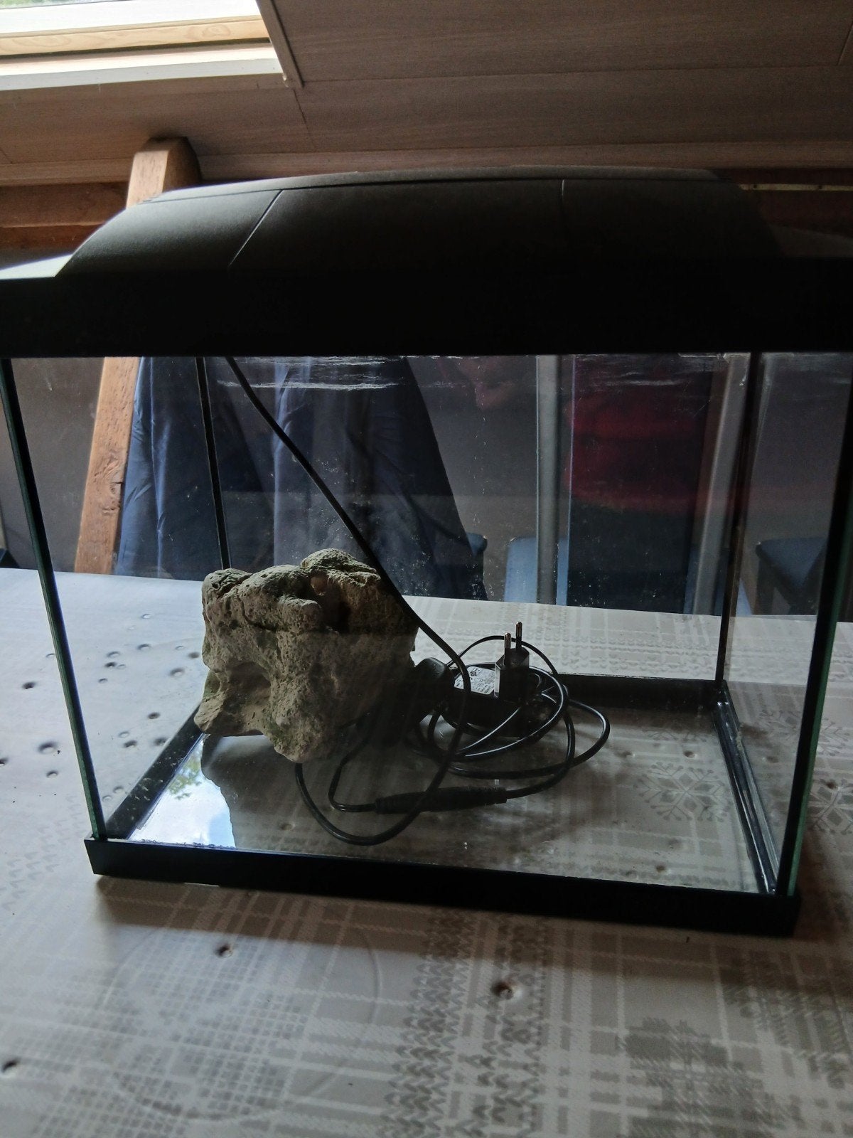 beginners aqarium, Dieren en Toebehoren, Ophalen