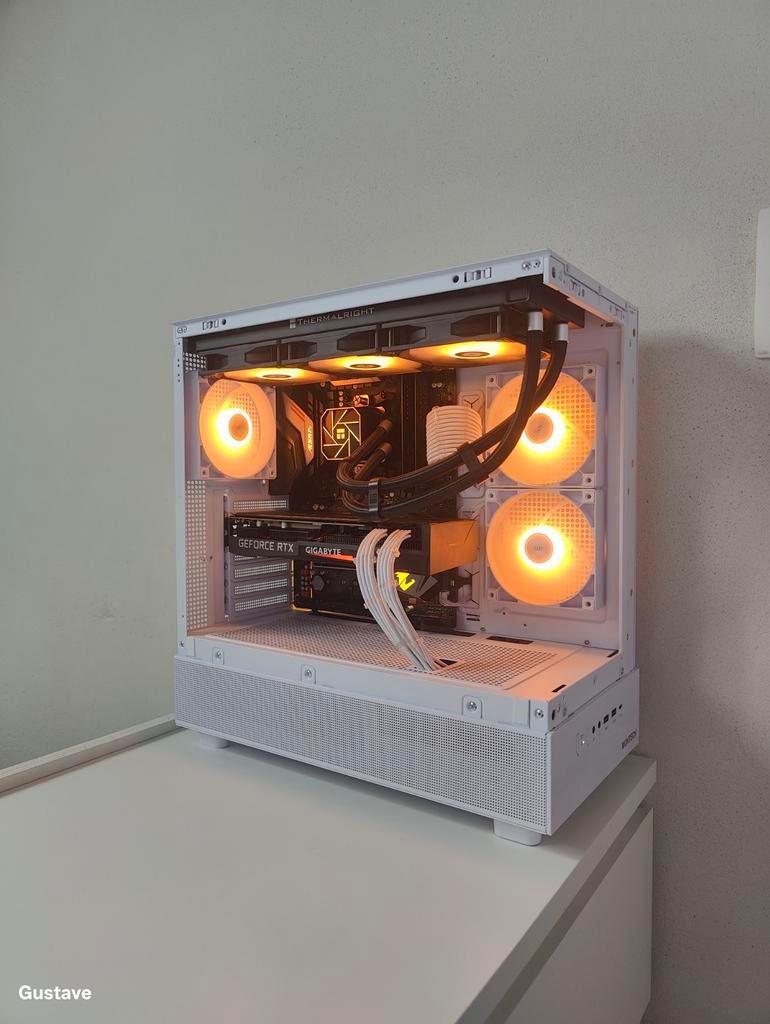 Gaming pc, Dieren en Toebehoren, Reptielen en Amfibieën