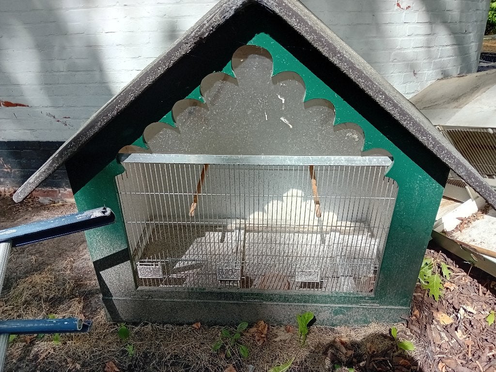 Grote vogelkooi, Dieren en Toebehoren, Ophalen, Gebruikt, Hout, Vogelkooi