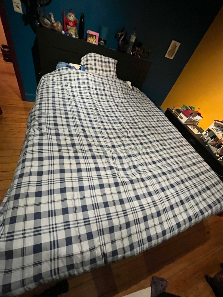 Lit 160 x 200 complet + tiroirs de rangement (sans matelas), Comme neuf, Enlèvement, 200 cm, Bois