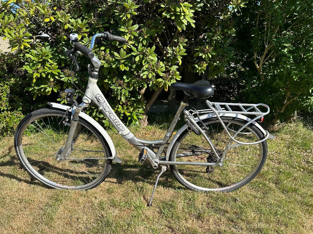 Damesfiets rijklaar, Velgrem, (Extra) lage instap, Ophalen, Overige merken