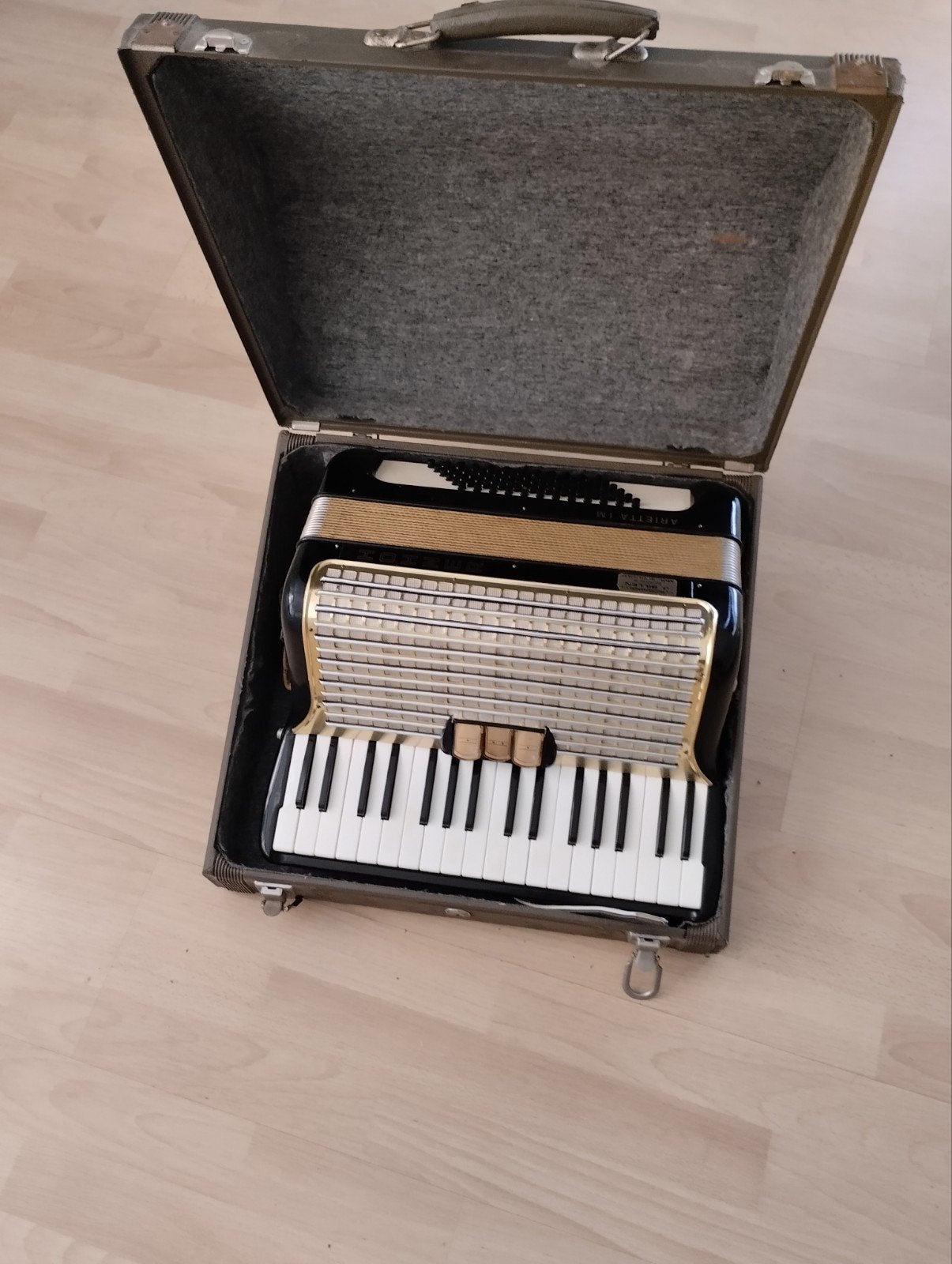 Honner ik heb een nieuwe gekocht!, Musique & Instruments, Accordéons, Enlèvement