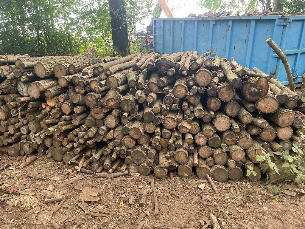 Bois de chauffage, Jardin & Terrasse, 6 m³ ou plus, Enlèvement ou Envoi, Bûches