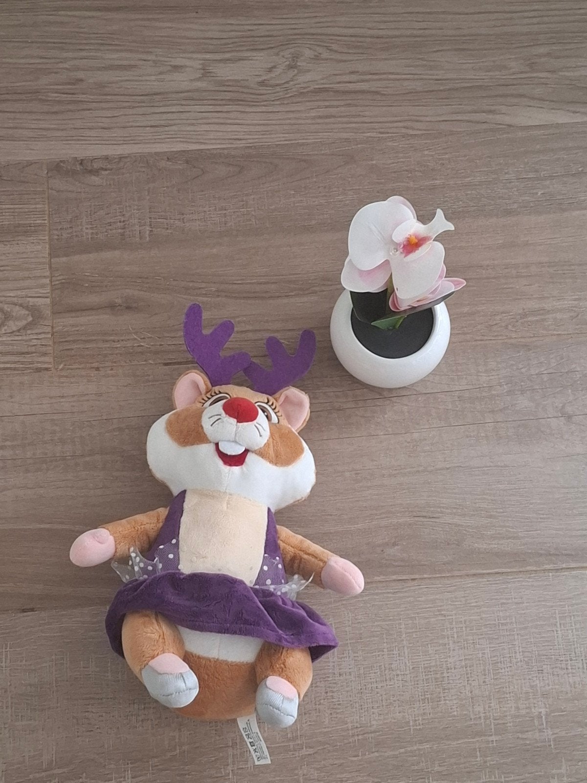 hamster van albert heijn, Kinderen en Baby's, Ophalen, Hamster, Albert Heijn