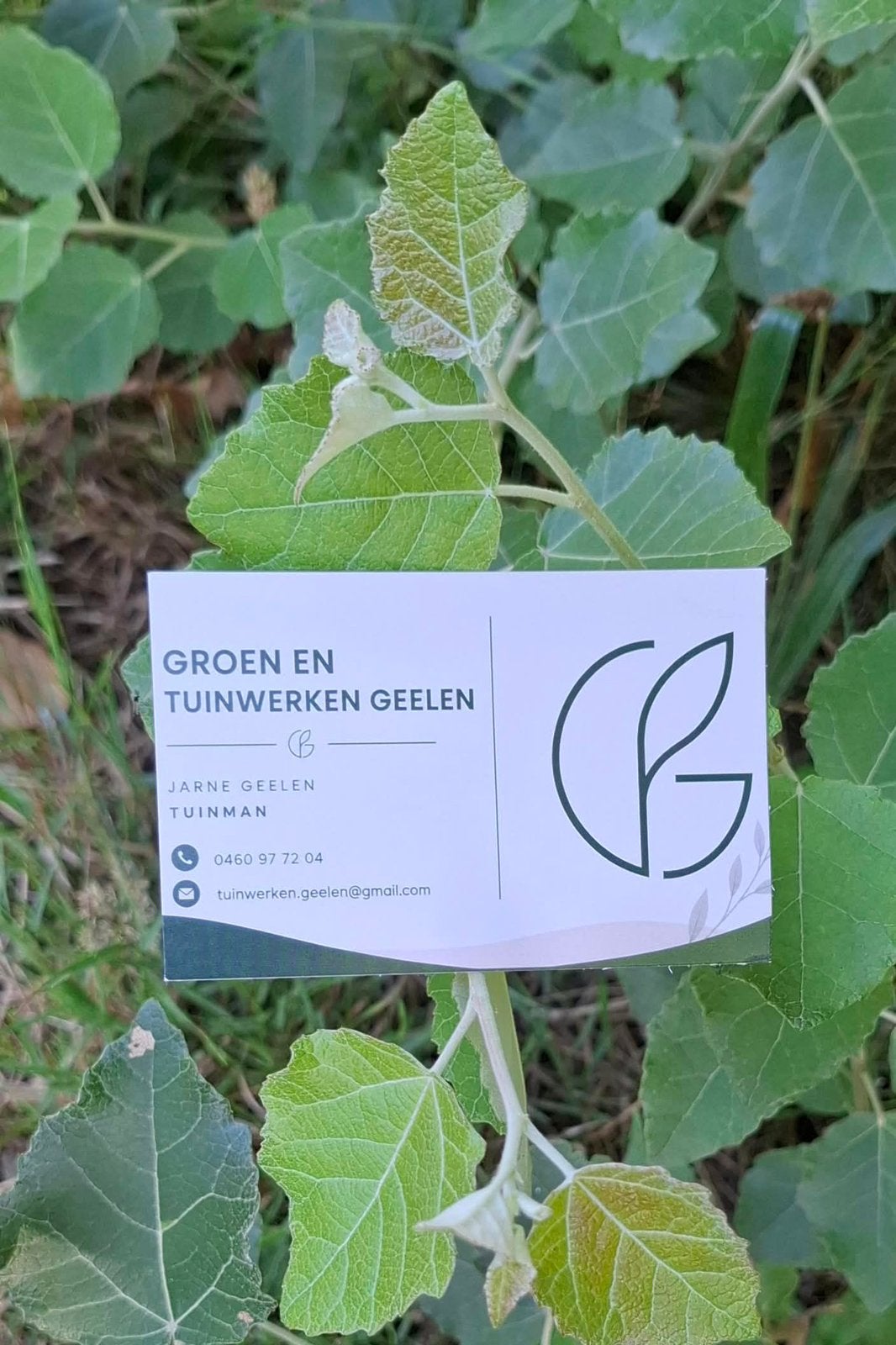 Tuinman!!, Ophalen