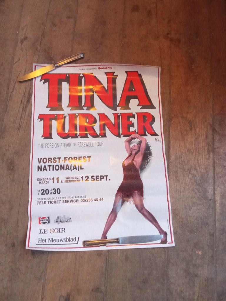 Affiche de concert ( Tina Turner ), Enlèvement, Comme neuf, Rectangulaire vertical, Musique