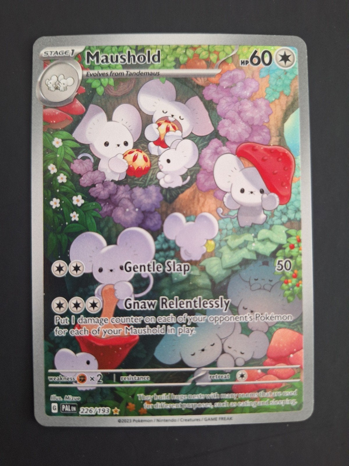 pokemon maushold ir paldea evolved, Enlèvement ou Envoi