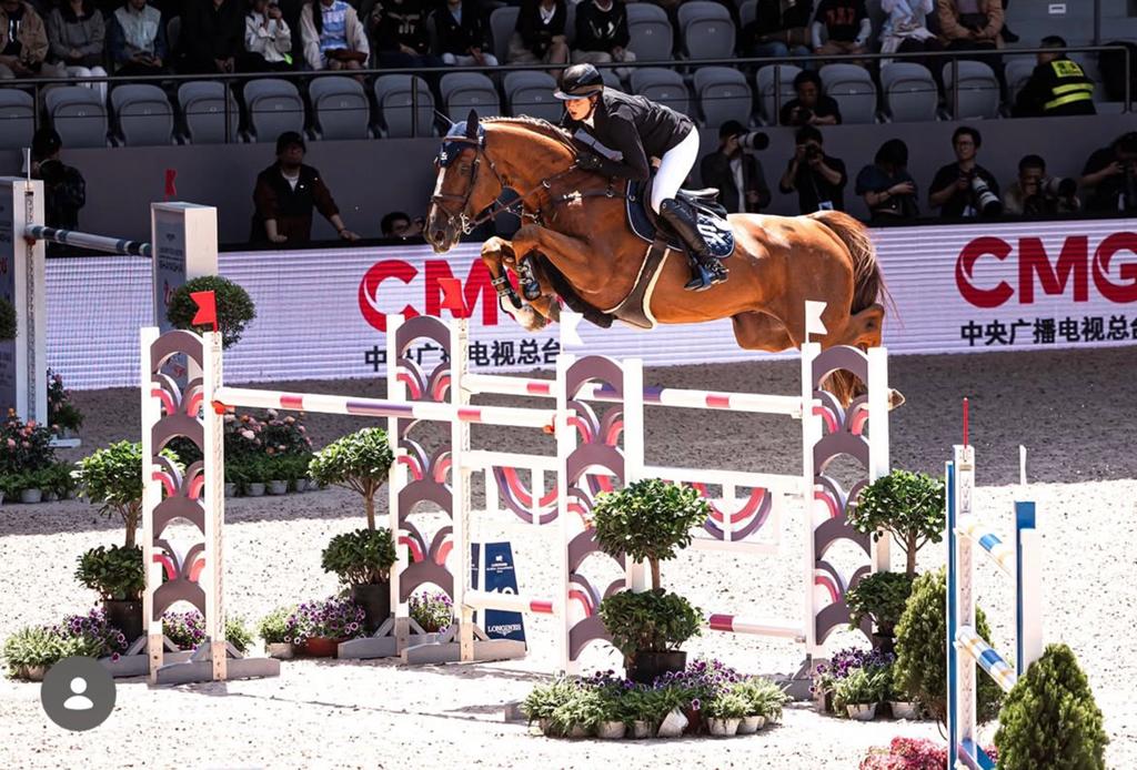 3jarige hengst uit Narcotique de Muze, Animaux & Accessoires, Chevaux, 165 à 170 cm, Étalon, 3 à 6 ans, Non dressé