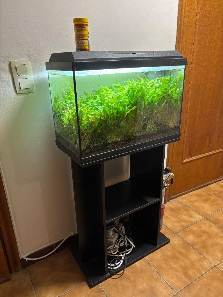 Aquarium van 70L (inclusief meubilair en diverse apparatuur), Ophalen, Gebruikt, Gevuld zoetwateraquarium, Juwel