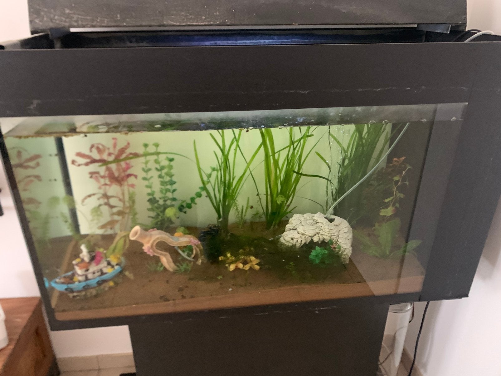 Aquaruim met vissen en planten, Dieren en Toebehoren, Ophalen of Verzenden, Zo goed als nieuw