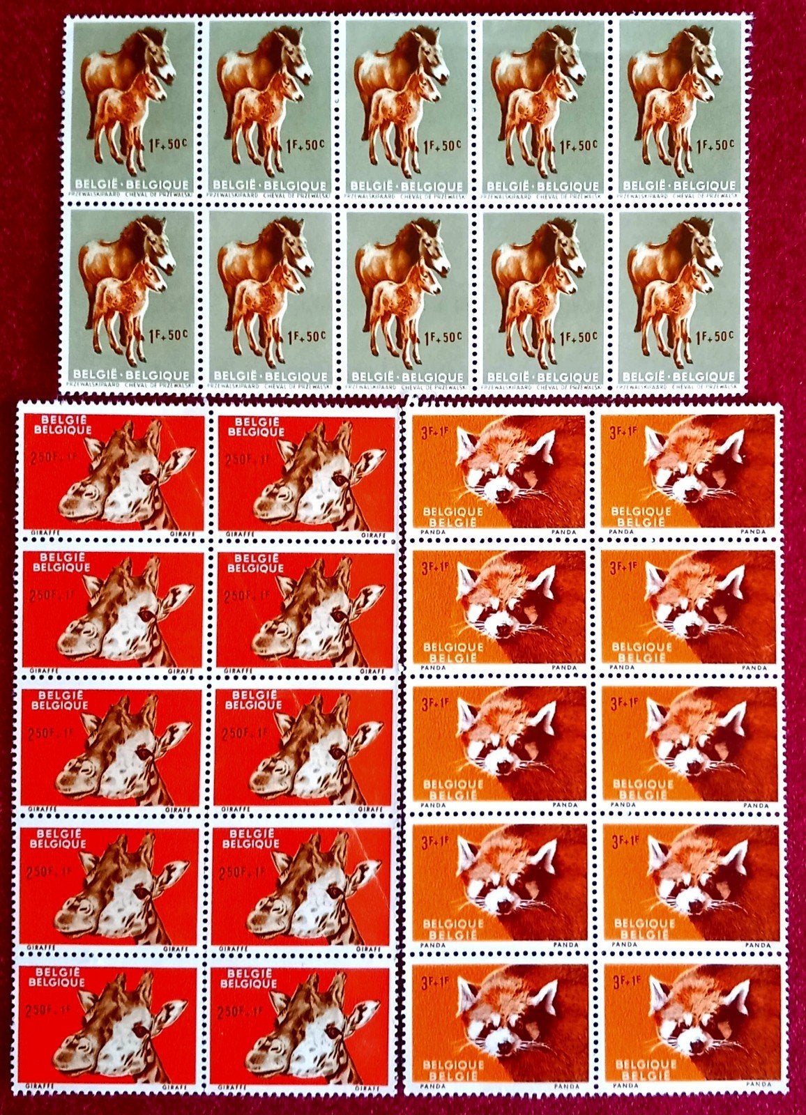 1961 Antwerpse Zoo - Paard, Giraffe, Panda x 10 MNH **, Postzegels en Munten, Verzenden