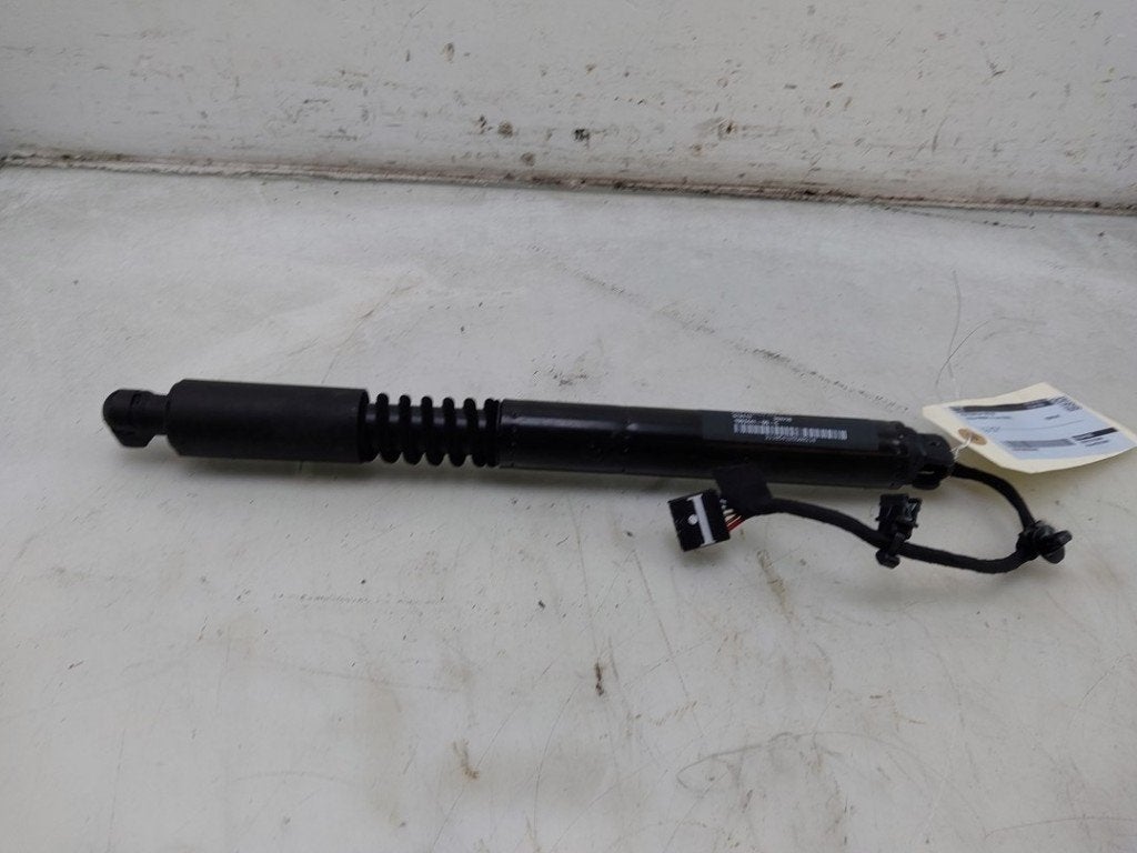 ACHTERKLEP MOTOR Tesla Model X (|106344100C|106344100F|), Dhr. J. Ham, Gebruikt, Achterklep, Overige automerken