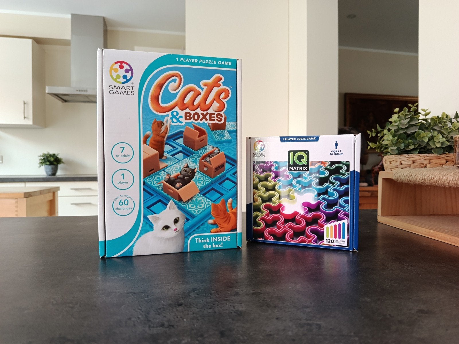 Zomerverkoop - Denkspelletjes, Hobby en Vrije tijd, Ophalen, Zo goed als nieuw, Overige typen
