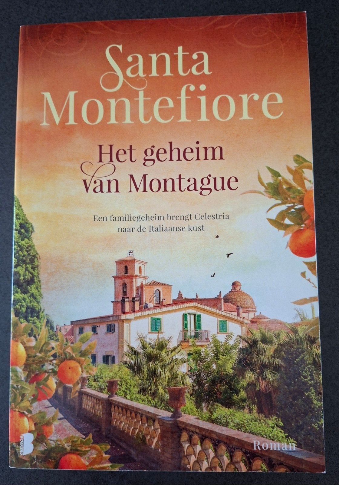 Montefiore Santa  : Het geheim van Montague, Ophalen