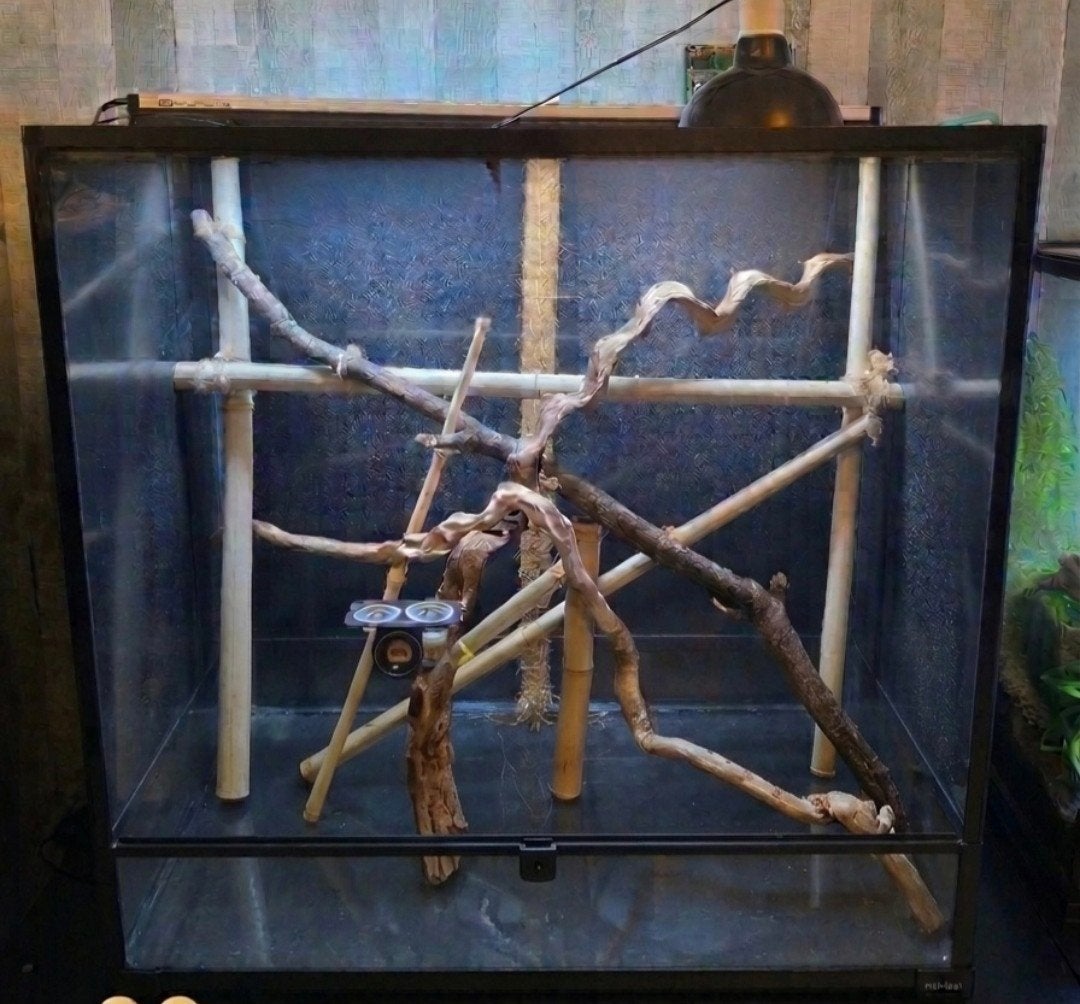 Habistat 90x45x90 avec matériel et déco, Animaux & Accessoires, Enlèvement, Utilisé, Terrarium ou Paludarium