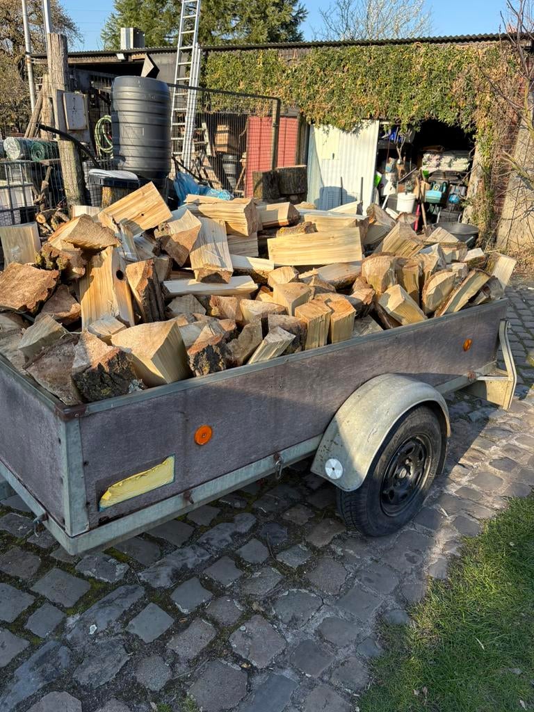Brandhout populier gekloven of dikke rollen, Tuin en Terras, Brandhout, 6 m³ of meer, Ophalen, Overige houtsoorten, Blokken