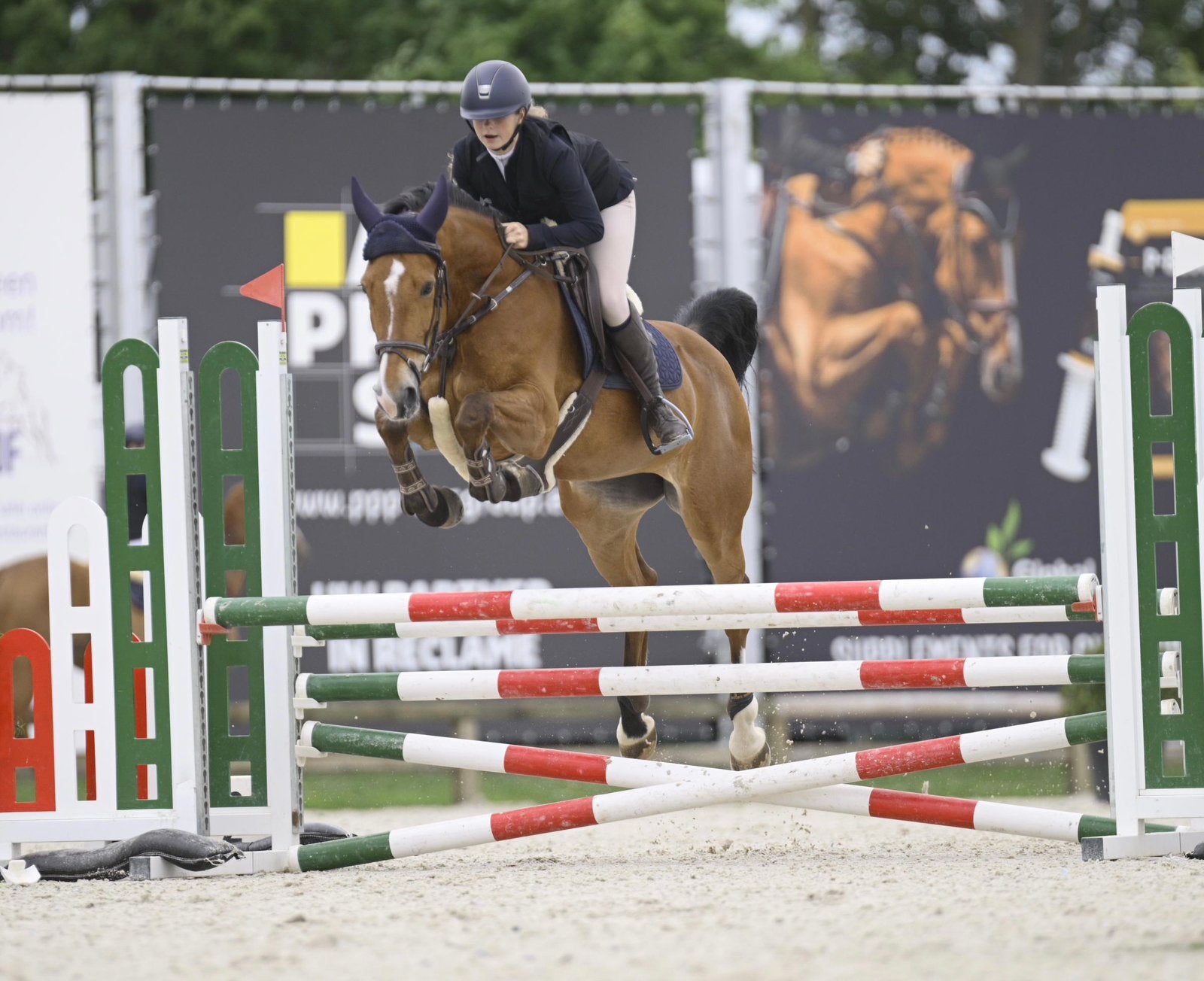 Springpaard te koop, Dieren en Toebehoren, Springpaard