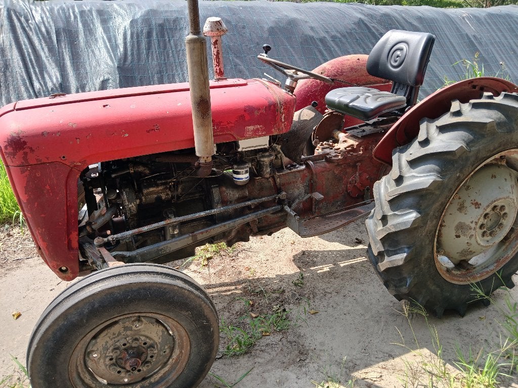 Massey Ferguson MF 35, Articles professionnels, Agriculture | Tracteurs, Jusqu'à 80 ch, Enlèvement, Oldtimer/Ancêtre, 7500 à 10000