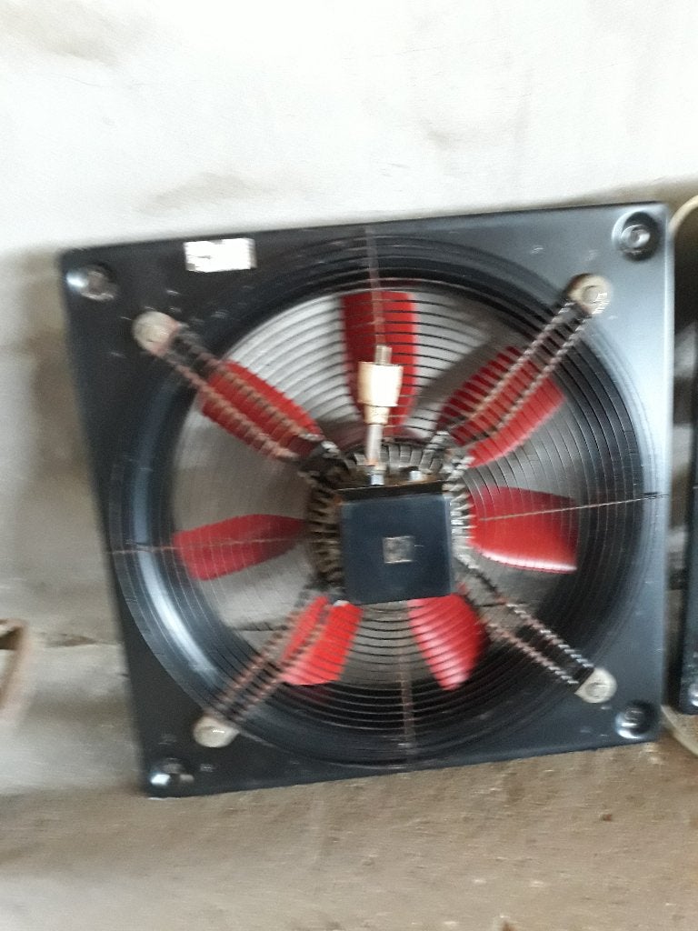 ventilatoren, Dieren en Toebehoren, Runderen, Mannelijk, 11 jaar of ouder