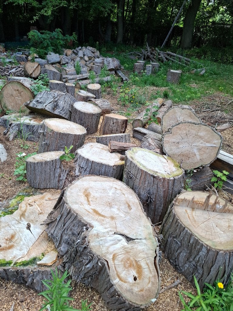 stookhout, 6 omgezaagde bomen, Tuin en Terras, 6 m³ of meer, Ophalen, Blokken