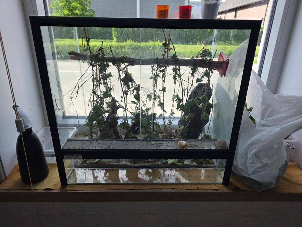 Terrarium, Ophalen