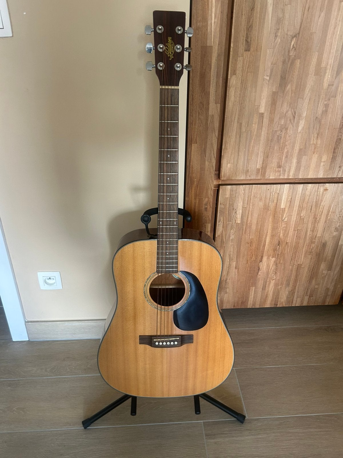 Hudson gitaar, Muziek en Instrumenten, Ophalen of Verzenden, Gebruikt