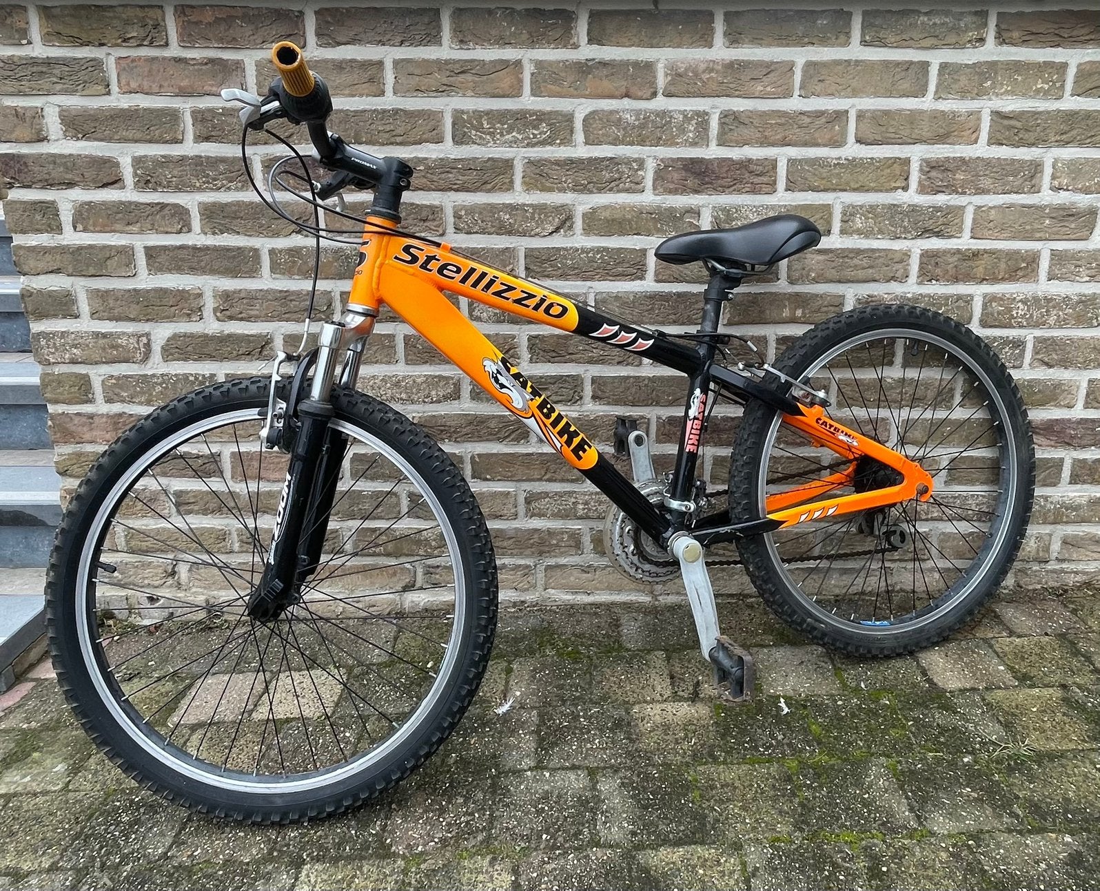 Mountainbike Stellizzio Catbike, Enlèvement, Comme neuf