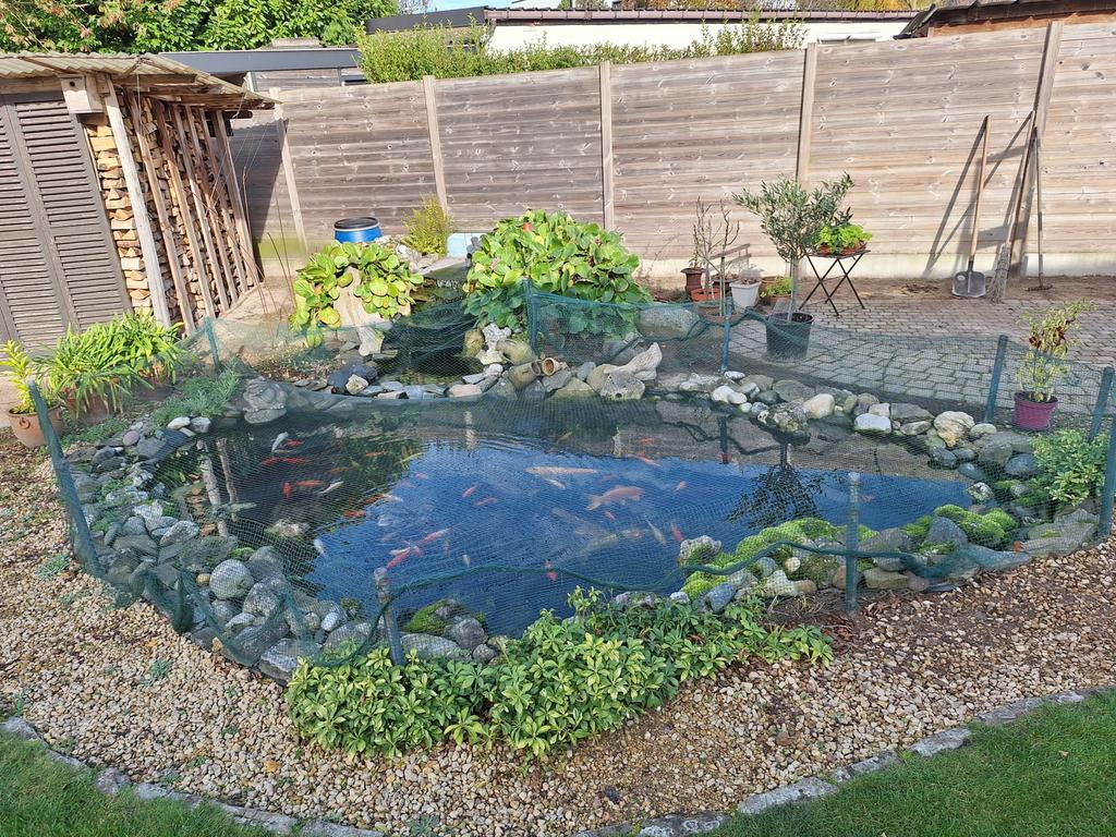 Vijver met toebehoren, Ophalen, Gebruikt