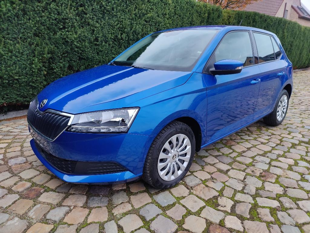 Skoda Fabia 1.0 TSI Ambition, Voorwielaandrijving, Stof, Bedrijf, 5 deurs