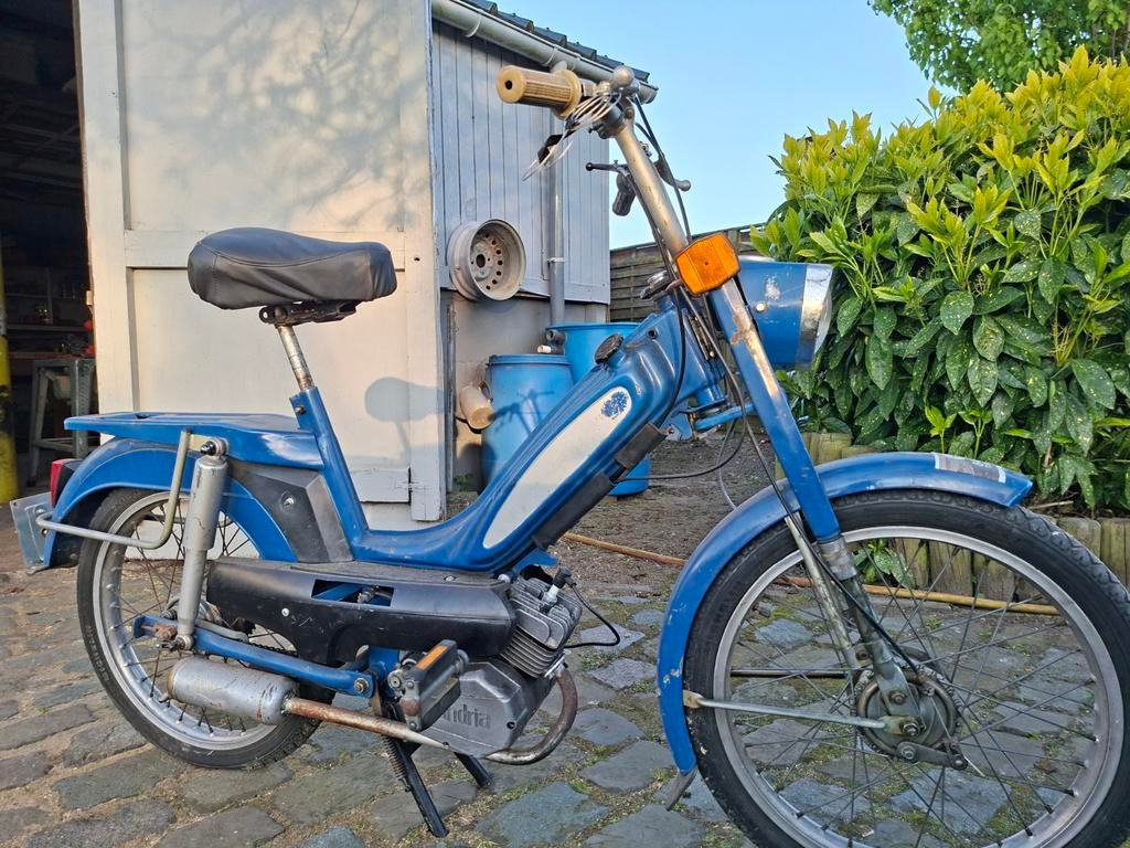 Flandria Gigi 1975, Enlèvement