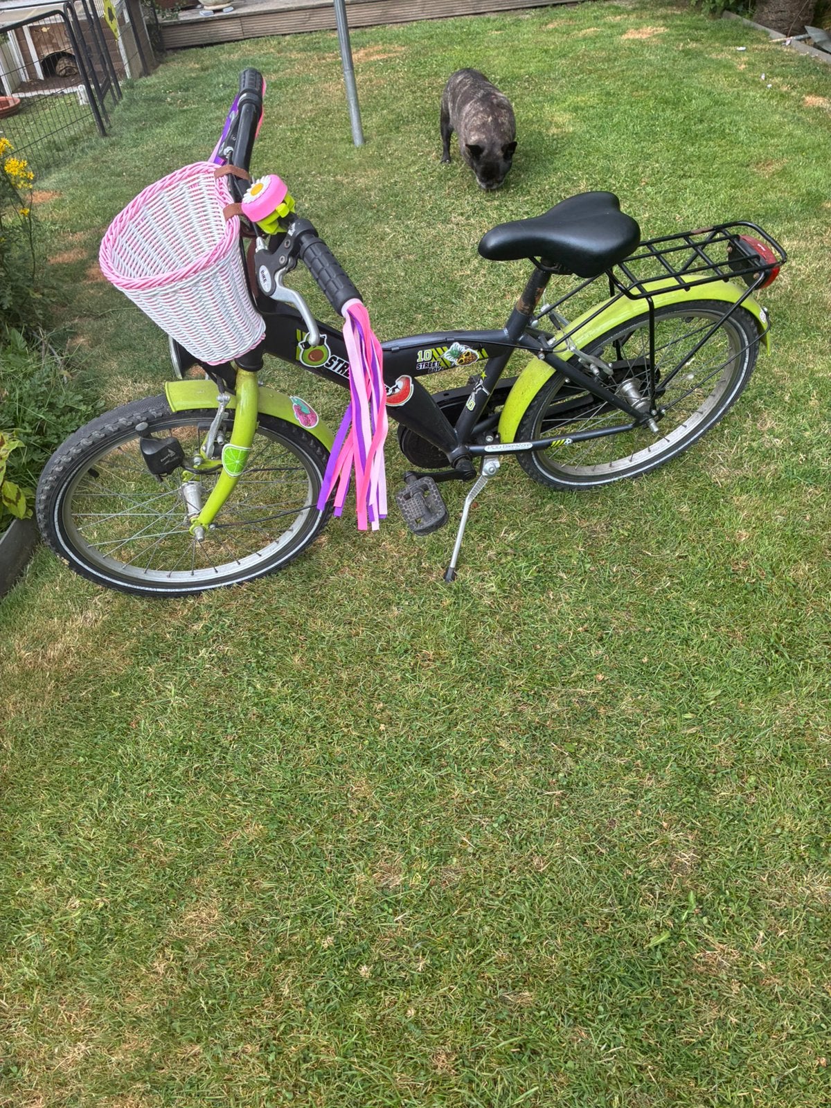 Meisjesfiets, Ophalen, Gebruikt, 24 inch, Handrem