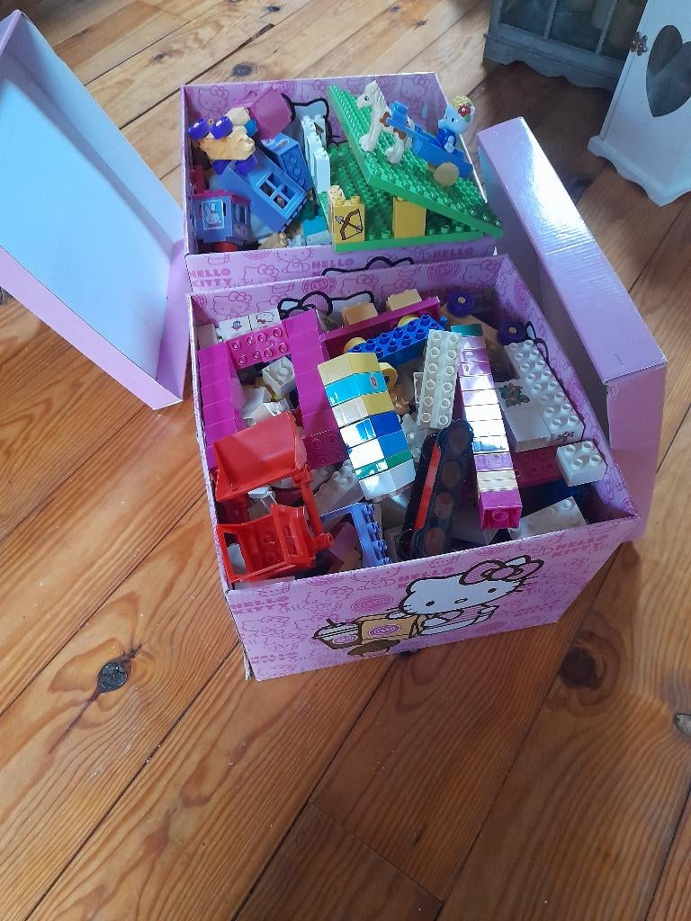 Duplo, Enlèvement, Duplo