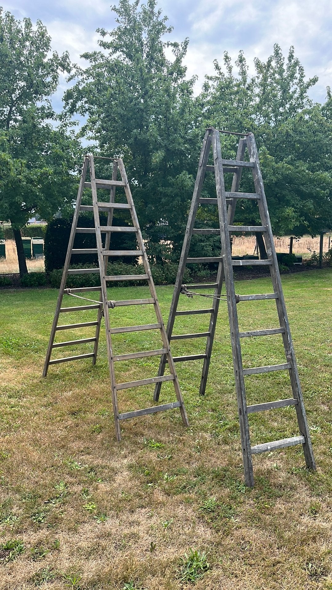 Houten ladders decoratie, Doe-het-zelf en Bouw, Ophalen, Zo goed als nieuw