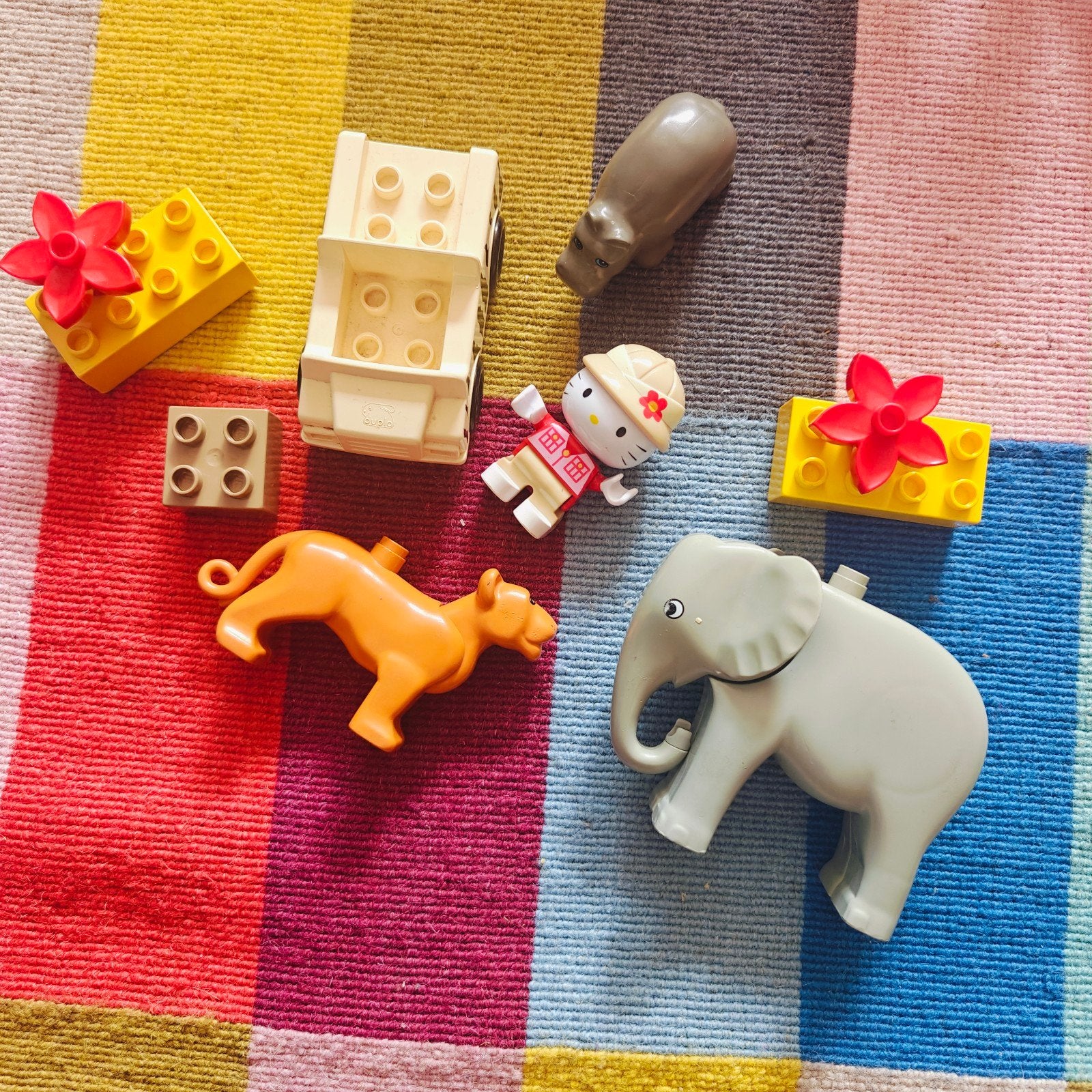 Safari Hello Kitty wilde dieren, Ophalen