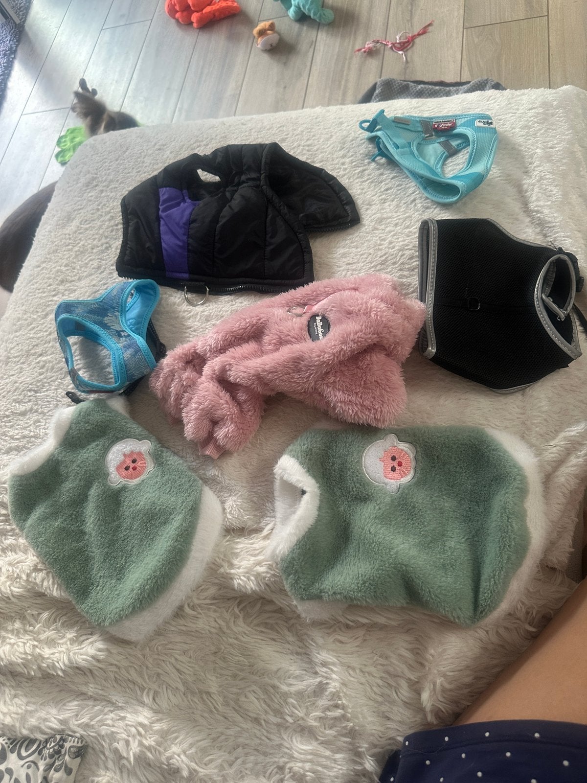Divers vêtements petit chiens xs, Animaux & Accessoires, Enlèvement, Comme neuf, XS