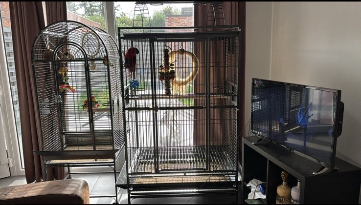 Vogelkooi te koop, Ophalen