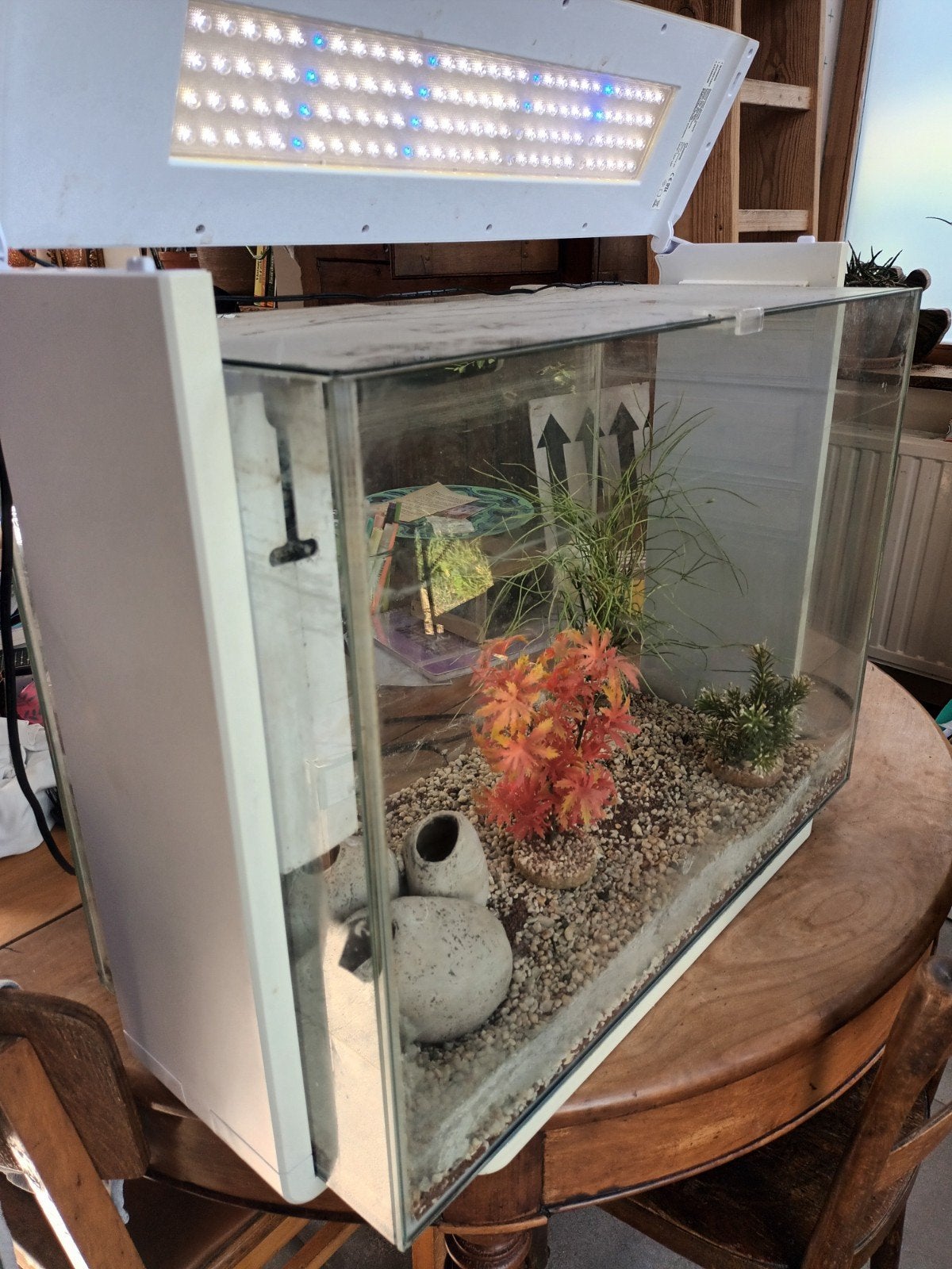 Aquarium SuperFish Home 80 (L 61, H 45, Prof 31), Animaux & Accessoires, Plantes incluses, Enlèvement, Utilisé, Superfish