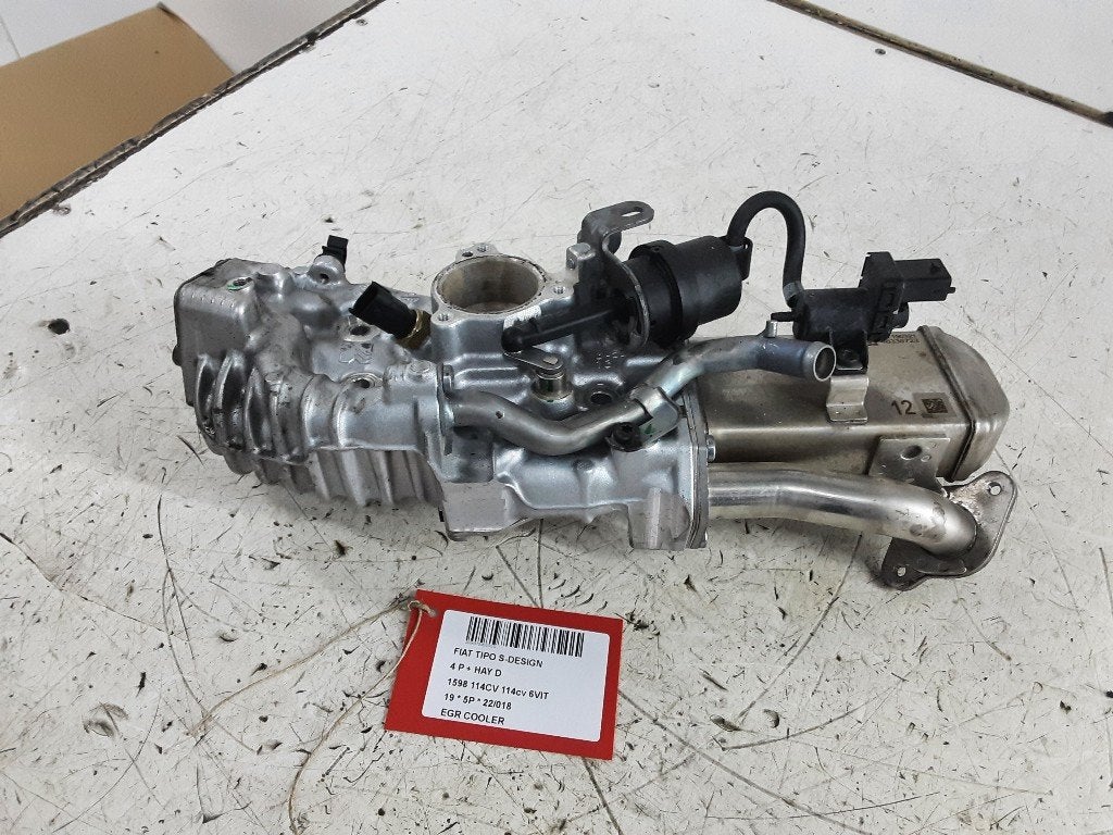 REFROIDISSEUR EGR Fiat Tipo (356H / 357H) (46338723), Mevr. I. Hauben, Utilisé, Fiat, Rue de l'Espoir 34 34
4030  GRIVEGNÉE, BE