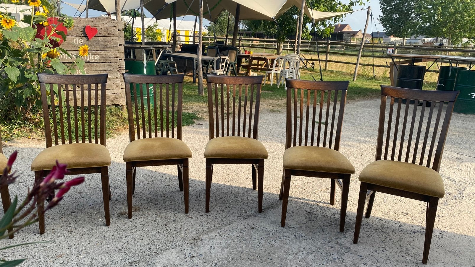Zeer stevige  stoelen 60€, Ophalen, Zo goed als nieuw