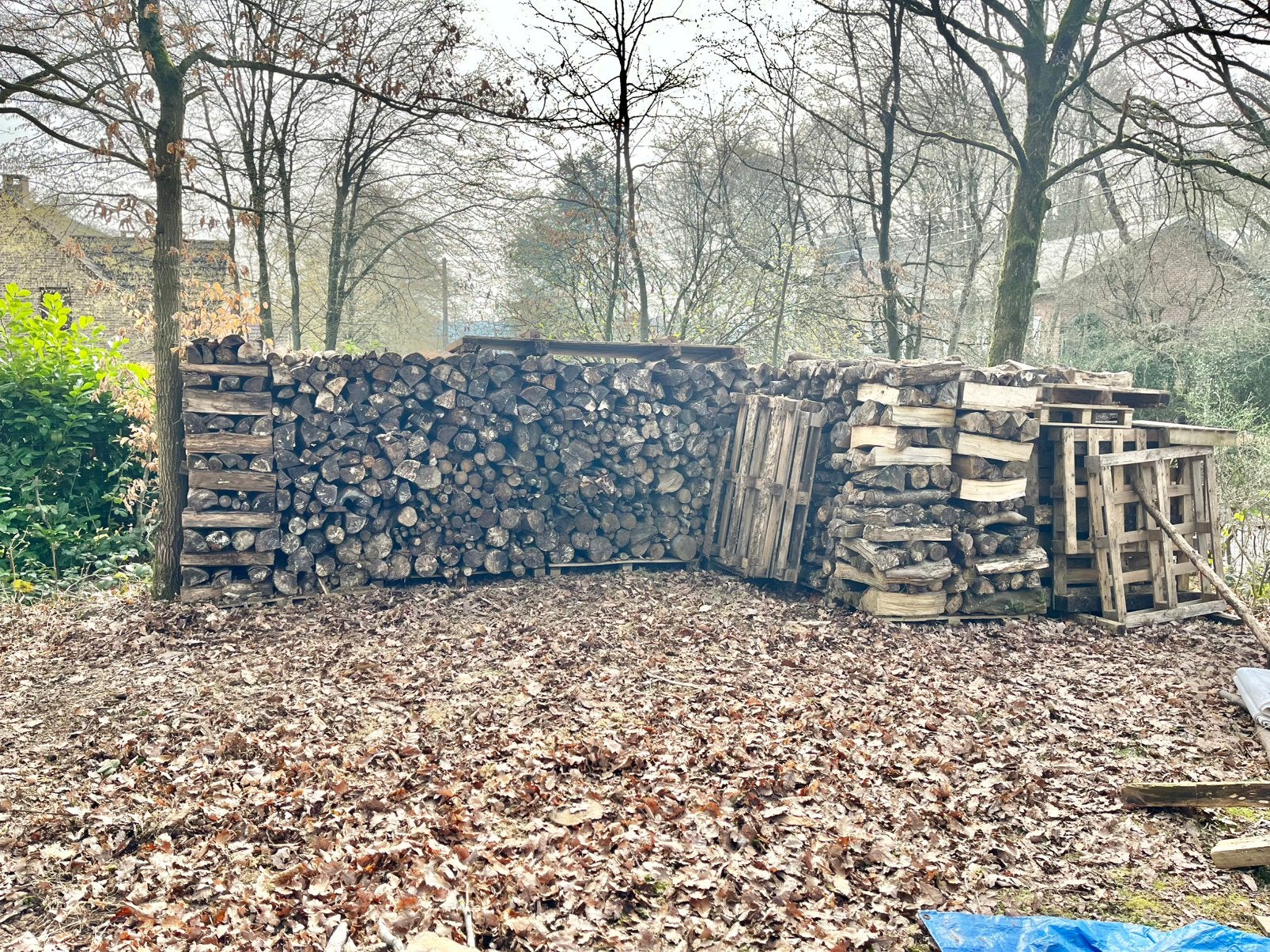 Bois de chauffage sec 50cm, Jardin & Terrasse, 3 à 6 m³, Enlèvement, Autres essences de bois, Bûches