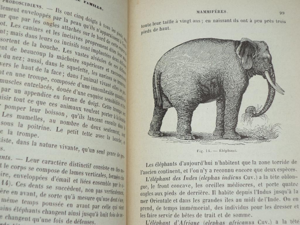 J. Hannon Traité élémentaire de Zoölogie natuurboek dieren, Ophalen of Verzenden