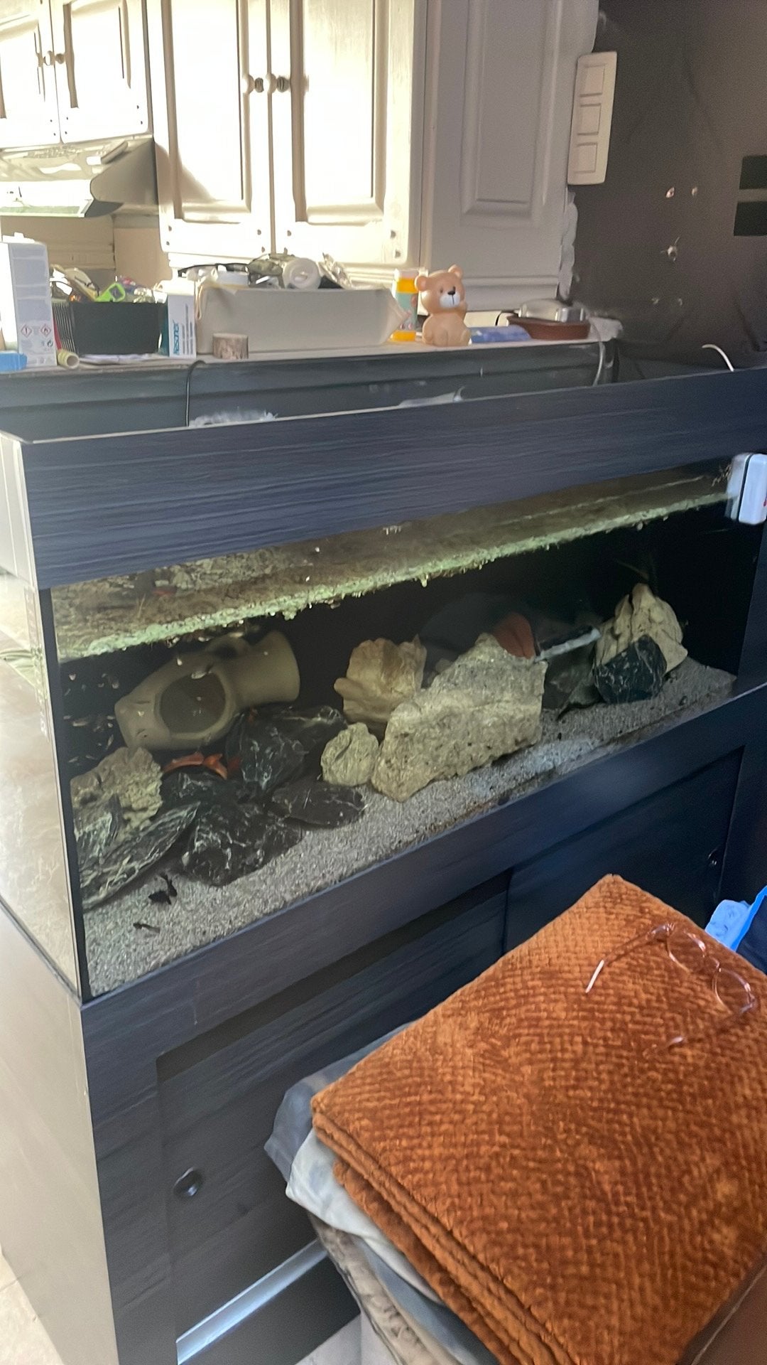 Aquarium 1m20, Ophalen, Inclusief vissen, Gebruikt, Aquariummeubel