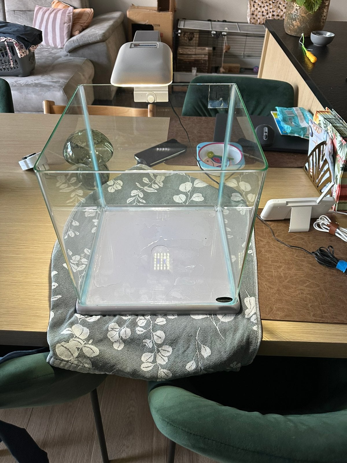 Klein aquarium Superfish Qube Led 30, Ophalen, Gebruikt, Inclusief toebehoren, Superfish