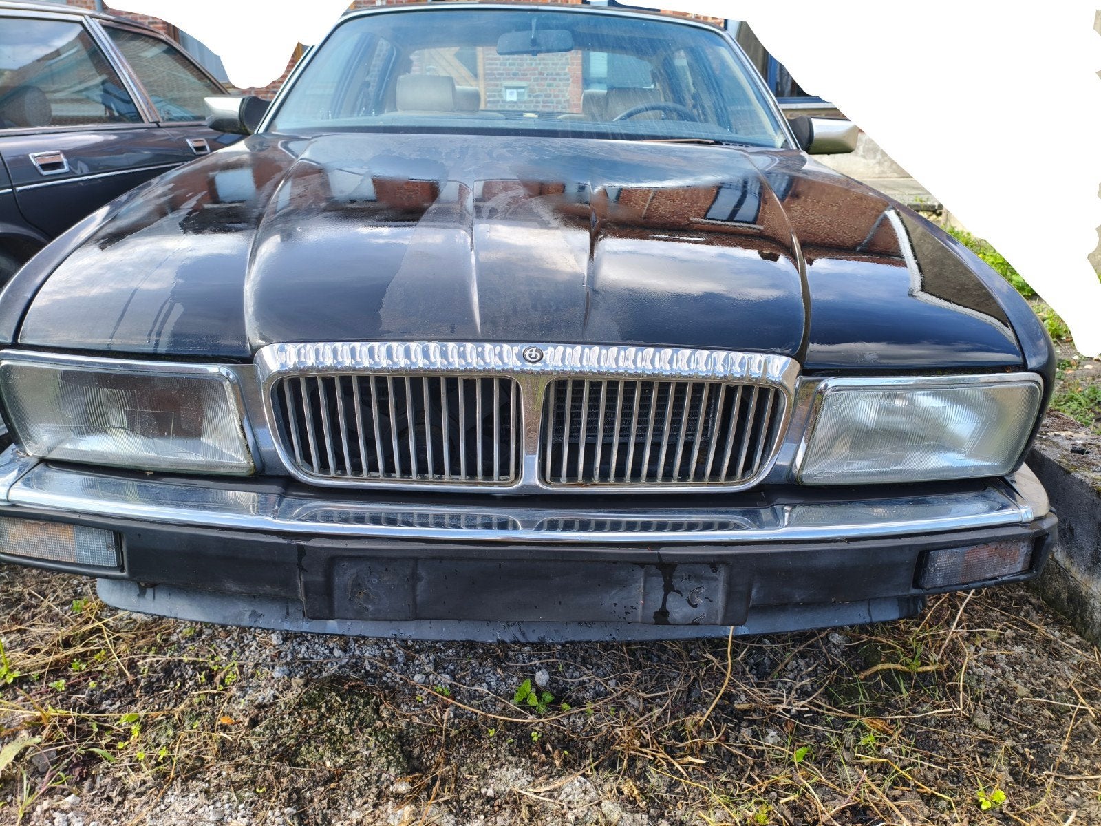 Jaguar Daimler XJ40 88/89, foto 8